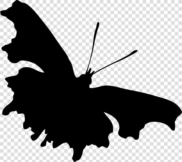 Swallowtail Butterfly  HD Png DownloadTransparent PNG