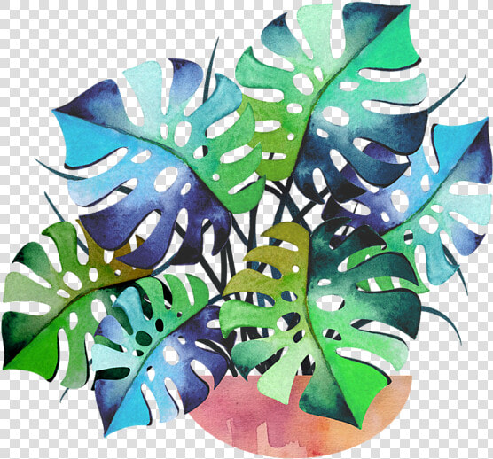 Swiss Cheese Plant Art  HD Png DownloadTransparent PNG