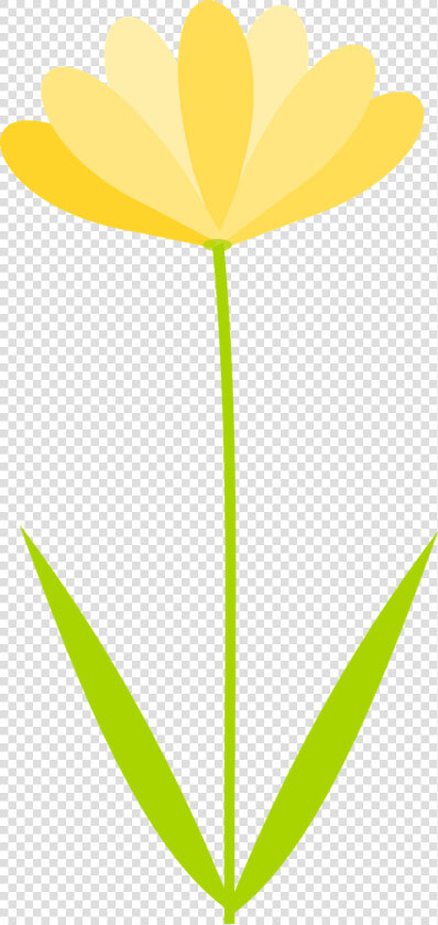 Flower No Transparent Para   Clear Background Flower Clip Art  HD Png DownloadTransparent PNG