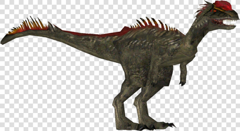 Transparent Dilophosaurus Png   Dilophosaurus Transparent  Png DownloadTransparent PNG