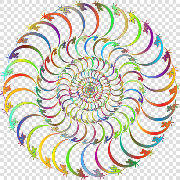 Symmetry area spiral  HD Png DownloadTransparent PNG