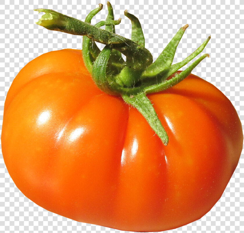 Tomato Organic Fresh Free Picture   Plum Tomato  HD Png DownloadTransparent PNG