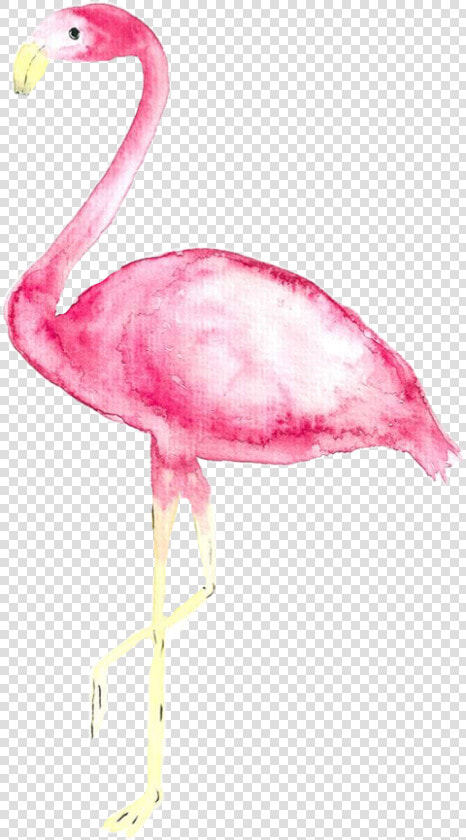  tumblr  watercolor  aquarelle  flamingo  freetoedit   Iphone Xs Max Wallpaper Flamingo  HD Png DownloadTransparent PNG