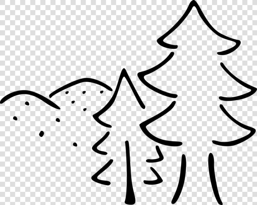 Vector Illustration Of Evergreen Coniferous Pine Trees   People Magazine  HD Png DownloadTransparent PNG