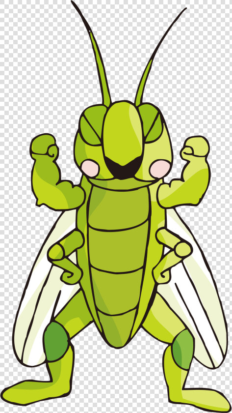 Cartoon Images Gallery For   Insect Cartoon Cricket  HD Png DownloadTransparent PNG