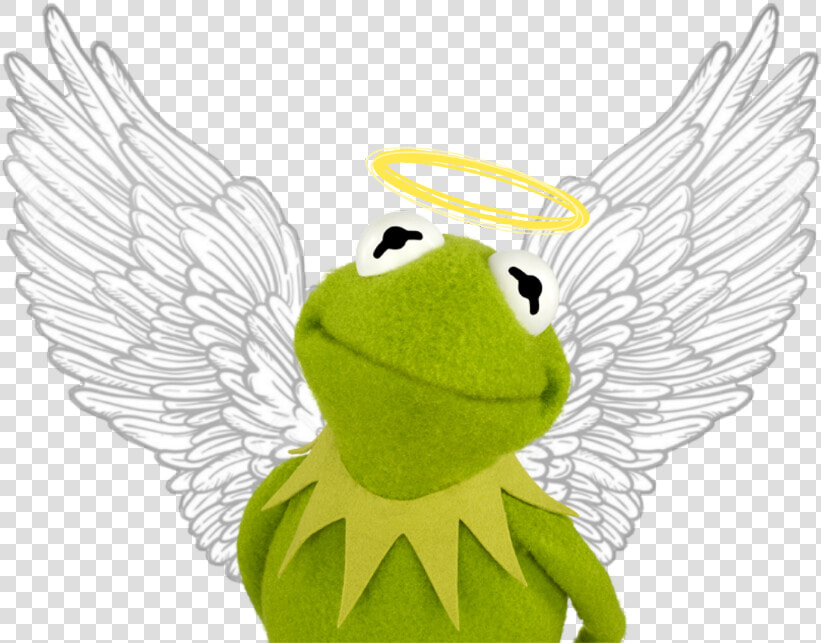  kermit  the  frog  kermit  thefrog  angel  wing  wings   Kermit The Frog Meme  HD Png DownloadTransparent PNG