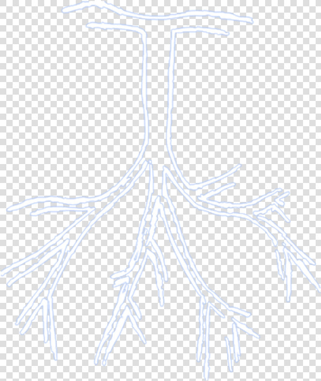 Rappers Drawing Sketch   Roy Woods Tree Transparent  HD Png DownloadTransparent PNG