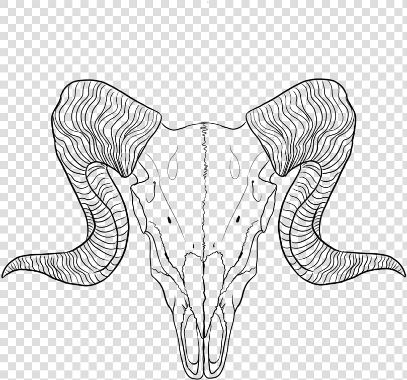 Lineart Ram By   Ram Skull Line Art  HD Png DownloadTransparent PNG