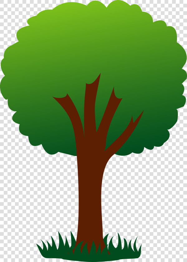 Trees Clip Art Amp Look At Trees Clip Art Clip Art  HD Png DownloadTransparent PNG