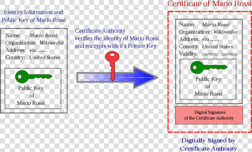 What Is A Certificate Authority   Public Key Certificate  HD Png DownloadTransparent PNG