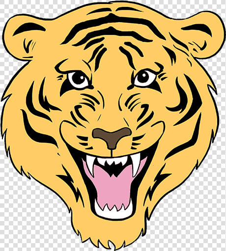 How To Draw Tiger Face   Draw A Tiger  HD Png DownloadTransparent PNG