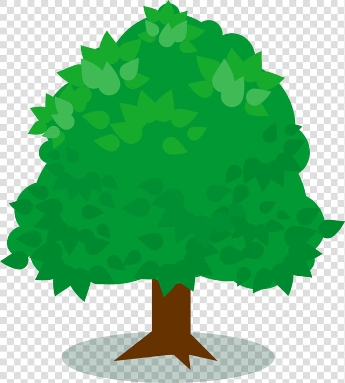 Plant leaf tree   Tree Favicon Ico  HD Png DownloadTransparent PNG