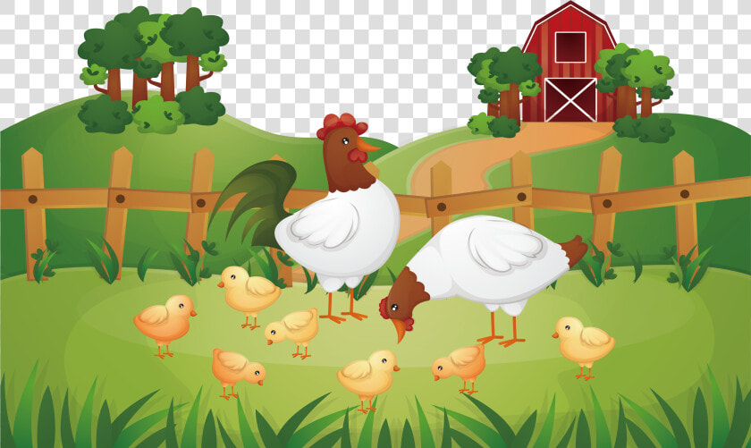 Animal Farm Chicken Rooster Poultry Farming   Poultry Farm Png  Transparent PngTransparent PNG