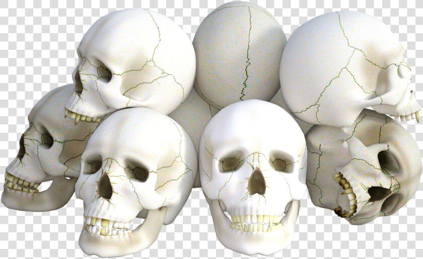 Skulls Horror Death Free Picture   Bretton Woods Agreements  HD Png DownloadTransparent PNG