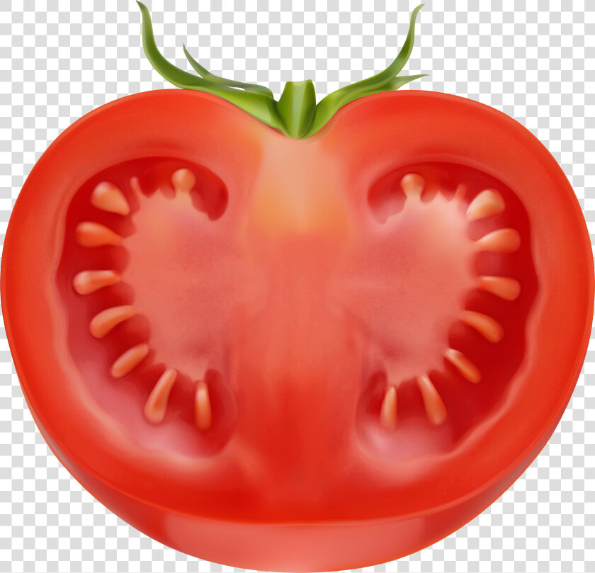 Transparent Cucumber Slices Png   Sliced Tomato Png  Png DownloadTransparent PNG