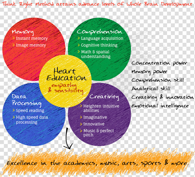 Whole Brain Development In Kids   Kids Brain Development  HD Png DownloadTransparent PNG