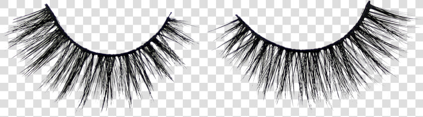 Eyelash Extensions  HD Png DownloadTransparent PNG