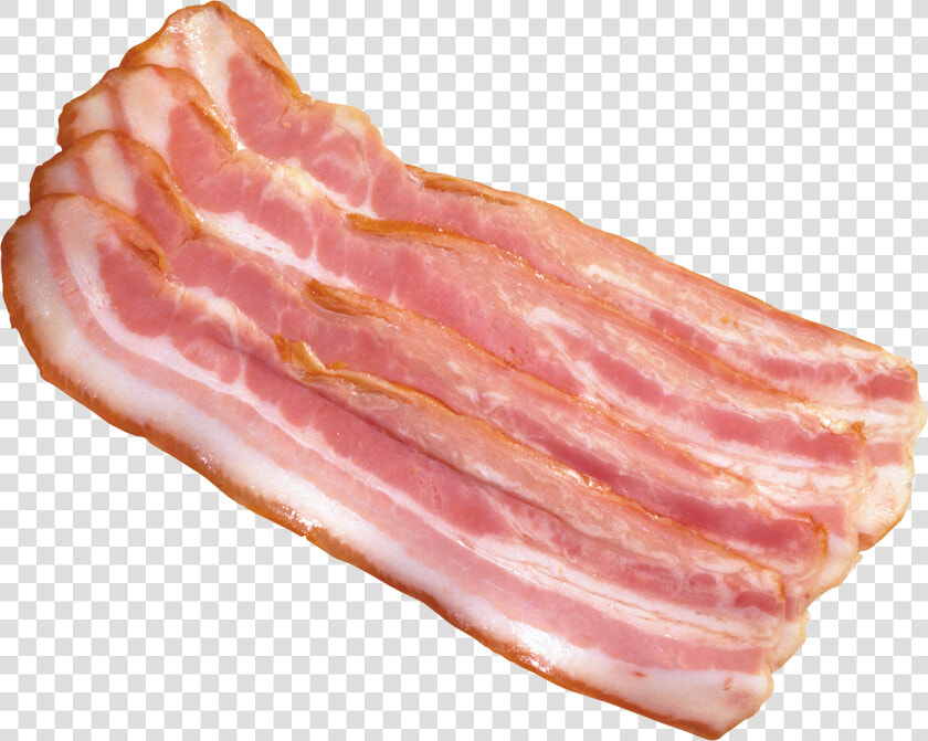 Bacon Png Image   Bacon Png  Transparent PngTransparent PNG