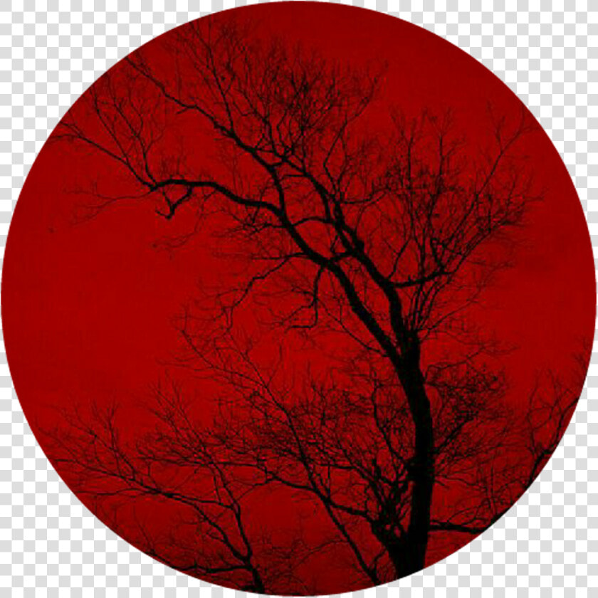 Circulo Rojo Png   Circle  Transparent PngTransparent PNG