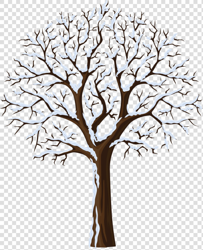 January Clipart Snowtree   Winter Season Tree Clipart  HD Png DownloadTransparent PNG