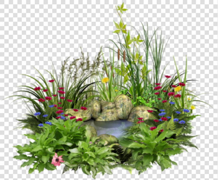  water  rocks  flowers  grass  nature   Flower Grass Water Png  Transparent PngTransparent PNG