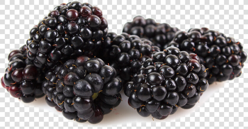 Boysenberry  HD Png DownloadTransparent PNG