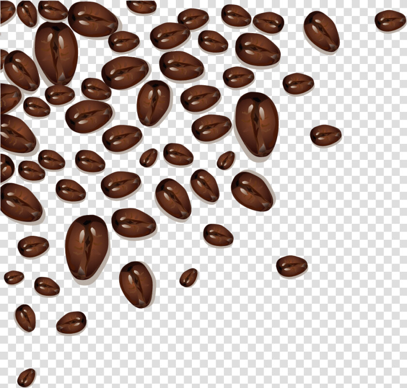 Coffee Bean Cafe Cocoa Bean   Cocoa Bean Clipart  HD Png DownloadTransparent PNG