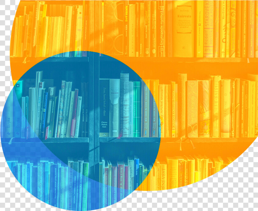 Successful People Reading Books  HD Png DownloadTransparent PNG