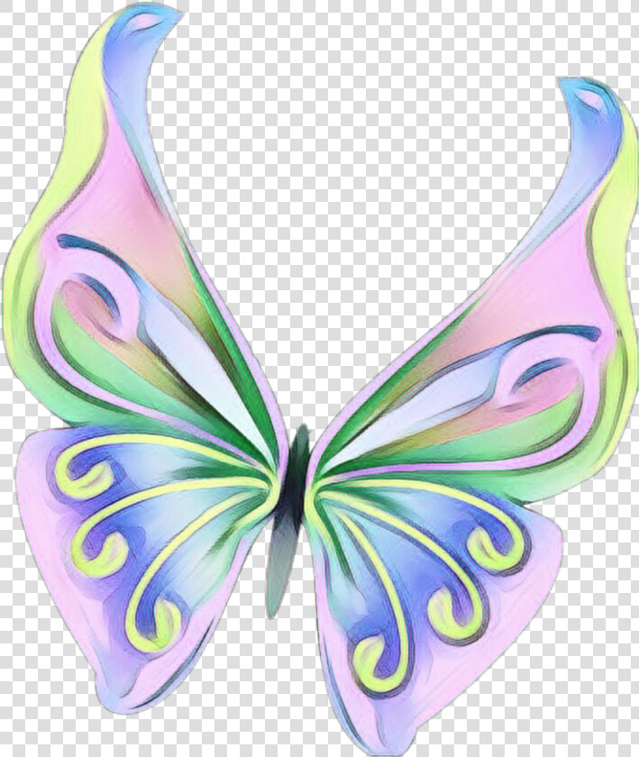  butterfly  wings  pink  purple Fairy   Butterfly  HD Png DownloadTransparent PNG