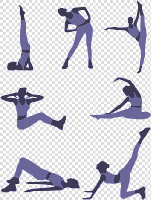 Fitness Exercises  HD Png DownloadTransparent PNG