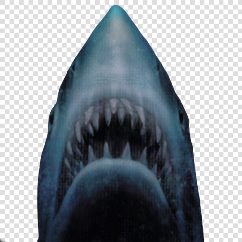 Thumb Image   Jaws Shark Transparent Background  HD Png DownloadTransparent PNG