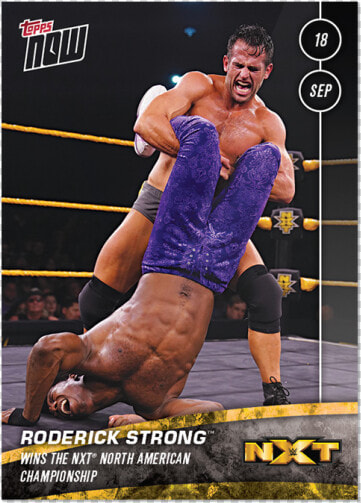 Roderick Strong Wins The Nxt North American Championship   Wwe Nxt  HD Png DownloadTransparent PNG