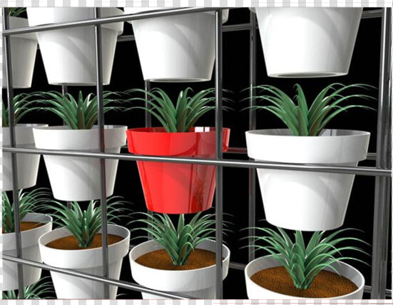 Green Walls   Flowerpot  HD Png DownloadTransparent PNG