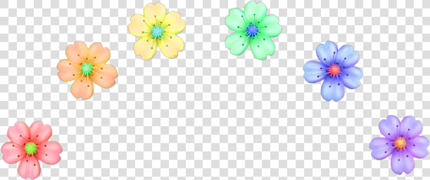  crown  flower  rainbow  ring  halo  hat  accessorie  HD Png DownloadTransparent PNG