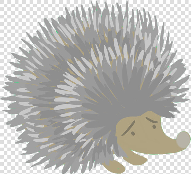 Porcupine  HD Png DownloadTransparent PNG