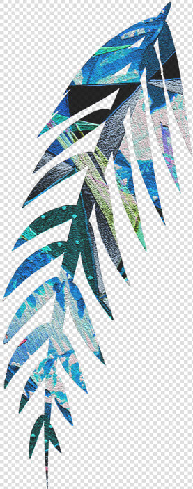 Pluma   Graphic Design  HD Png DownloadTransparent PNG