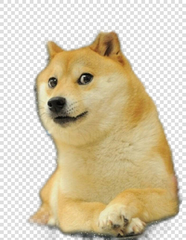  doge   Doge Invasion  HD Png DownloadTransparent PNG