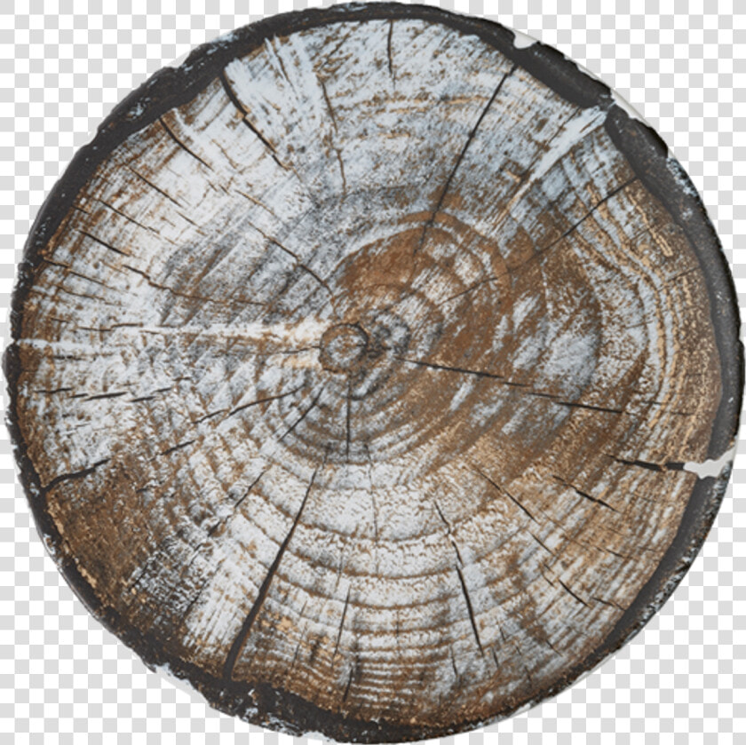 Transparent Wood Grain Png   Wood  Png DownloadTransparent PNG