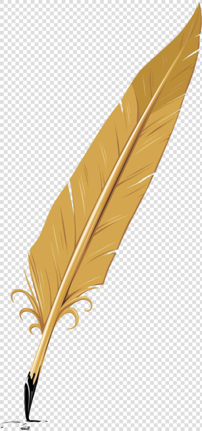 Writing Feather Png   Pluma De Escritura Antigua  Transparent PngTransparent PNG