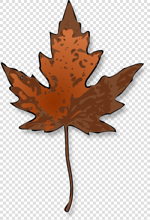 Maple Leaf Autumn   Maple Leaf Clip Art  HD Png DownloadTransparent PNG