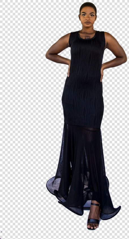 211 Inpixio   Gown  HD Png DownloadTransparent PNG