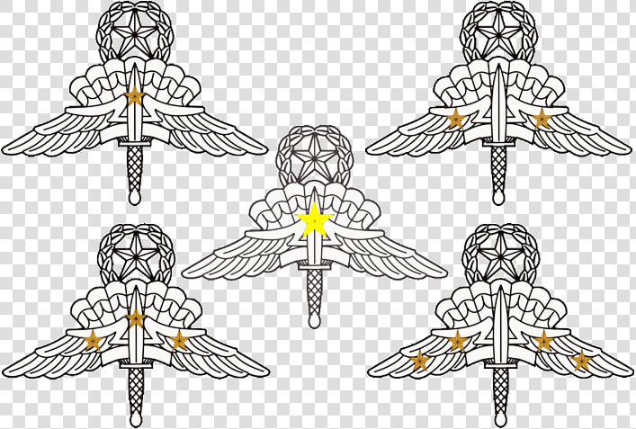 Us Army Master Military Freefall Parachutist Badges   Sketch  HD Png DownloadTransparent PNG