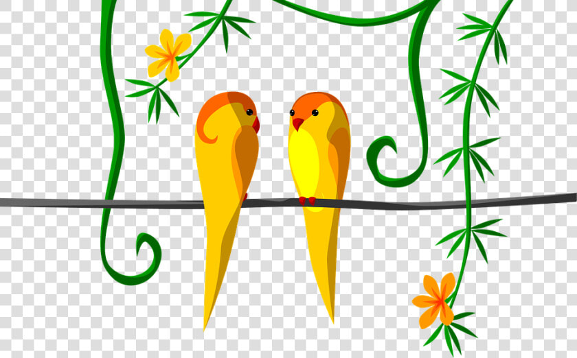 Parrot  Couple  Jungle  Tropical  Orange  Bright   Budgie  HD Png DownloadTransparent PNG