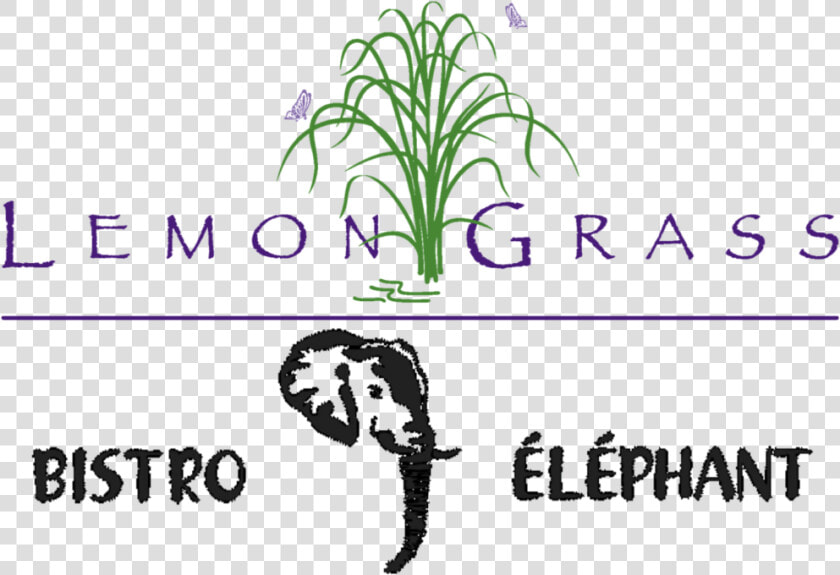 Lemon Grass  amp  Bistro Elephant Steakhouse   Grass  HD Png DownloadTransparent PNG