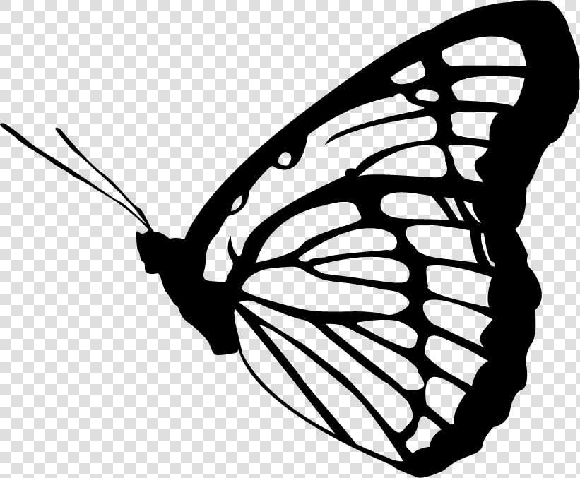 Monarch Butterfly Clipart Vector   Butterfly Vector Black And White  HD Png DownloadTransparent PNG