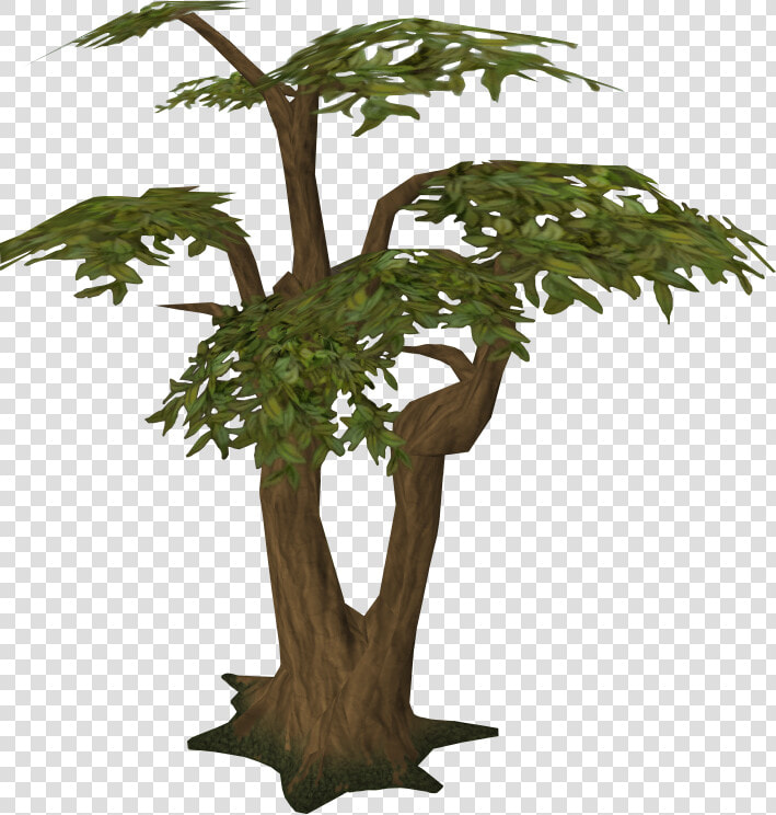 Woodcutting Runescape Wiki Fandom   Runescape Tree  HD Png DownloadTransparent PNG