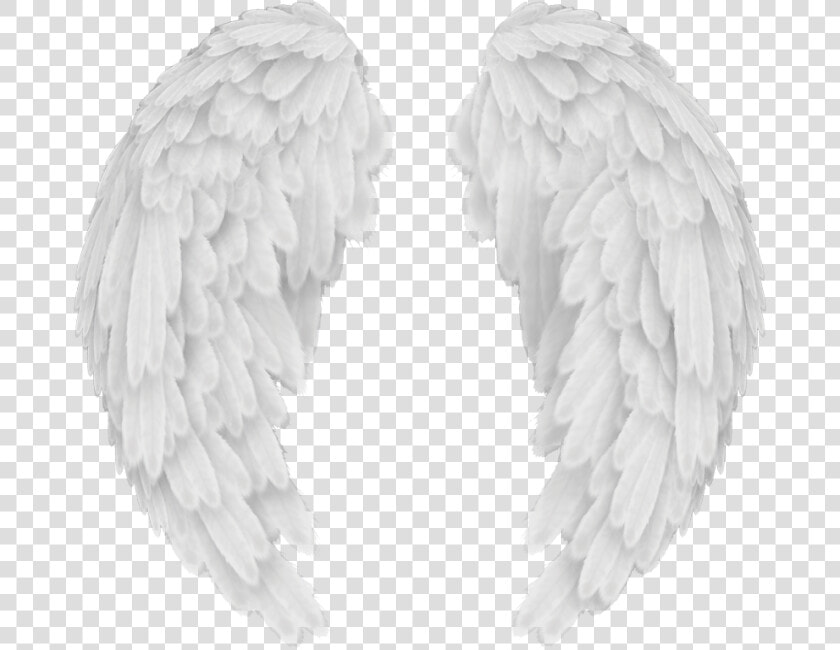 Angels In America Wings   Transparent Background Angel Wings Png  Png DownloadTransparent PNG