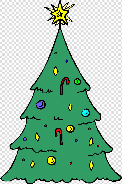 Of The Stately Fir Tree Remains Green All Year Round    Christmas  HD Png DownloadTransparent PNG