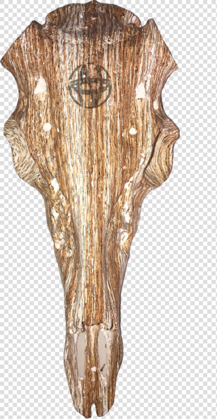 Hardwood  HD Png DownloadTransparent PNG