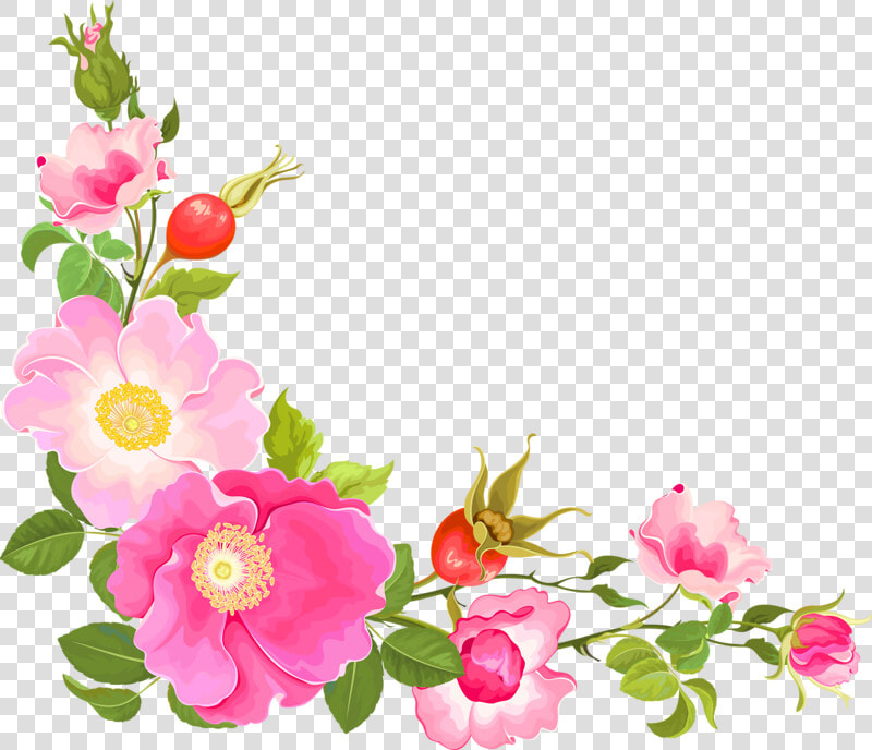 Peony Clipart Corner   Corner Flower Border Design  HD Png DownloadTransparent PNG